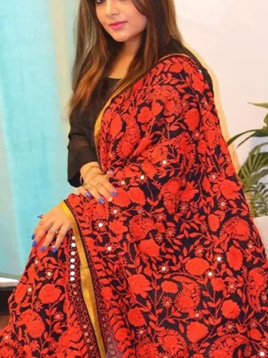 Handcrafted Phulkari on pure Georgette